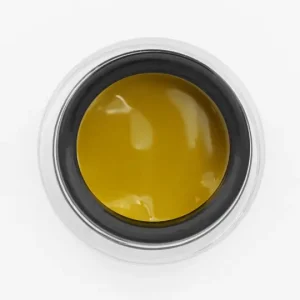Yoshi Paint Gel Yellow